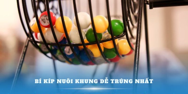 Bí kíp nuôi khung dễ trúng nhất