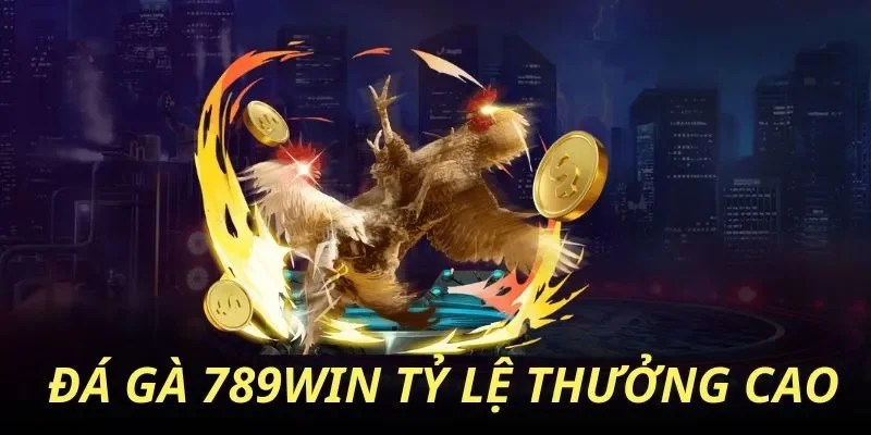 Đá gà 789Win nơi bạn có thể khám phá trận đấu mãn nhãn