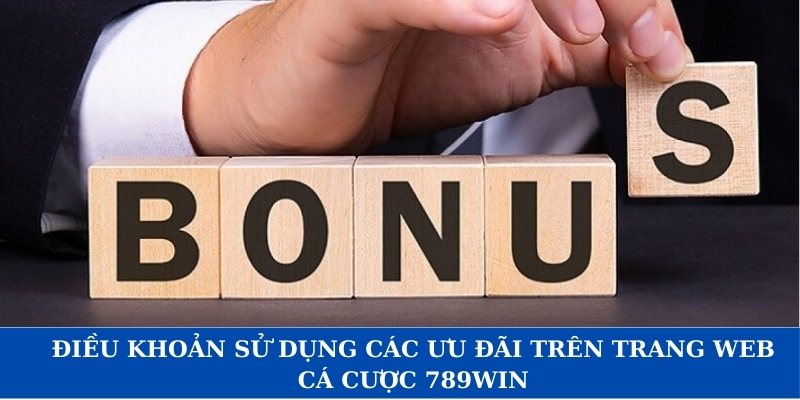 Điều khoản sử dụng các ưu đãi trên trang web cá cược