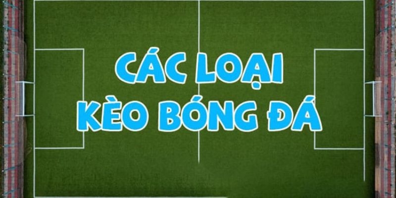 Một số loại kèo châu Á được nhiều người chơi yêu thích nhất hiện nay